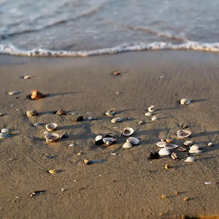 Comfortable Flat Just Steps From The * Bibione